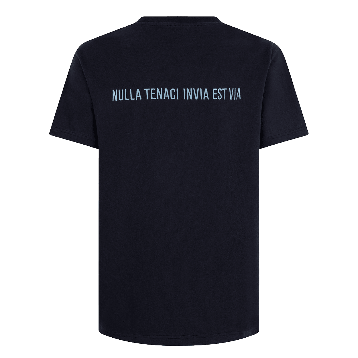 Navy t-shirt from behind