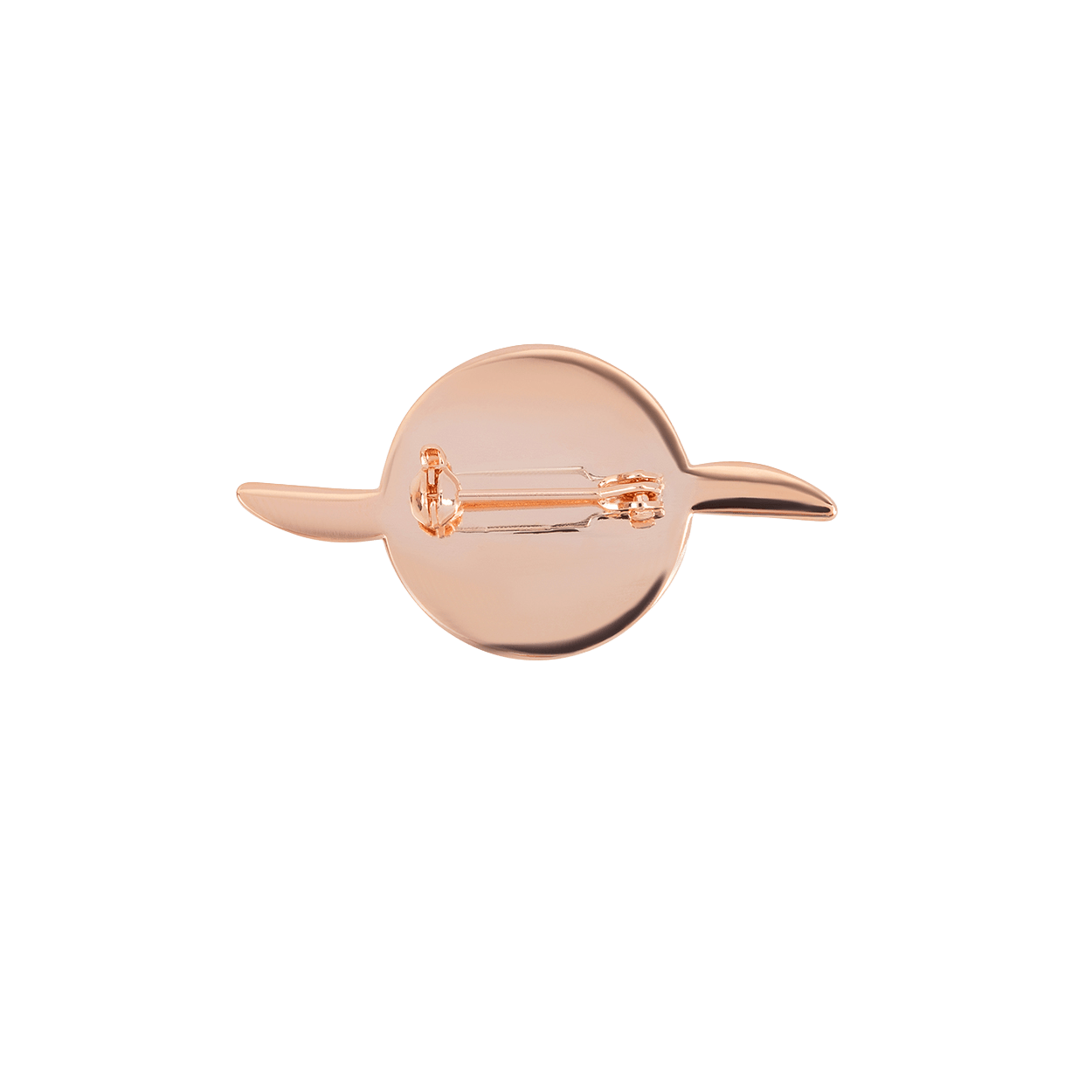 Brooch from behind