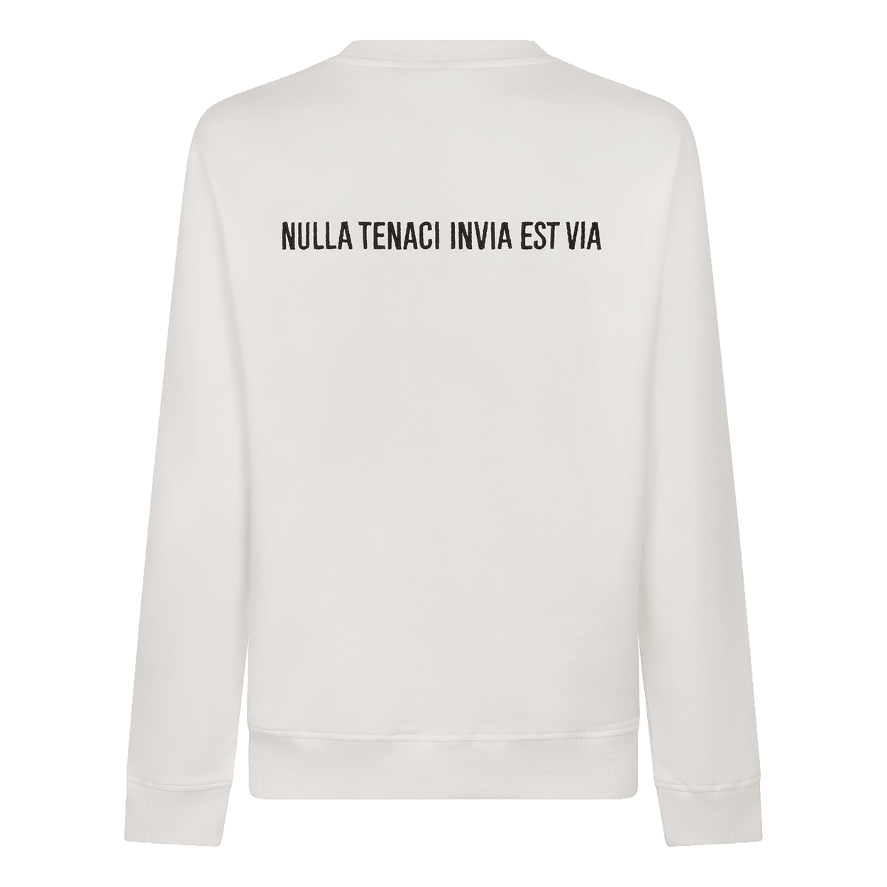 Sweatshirt from behind