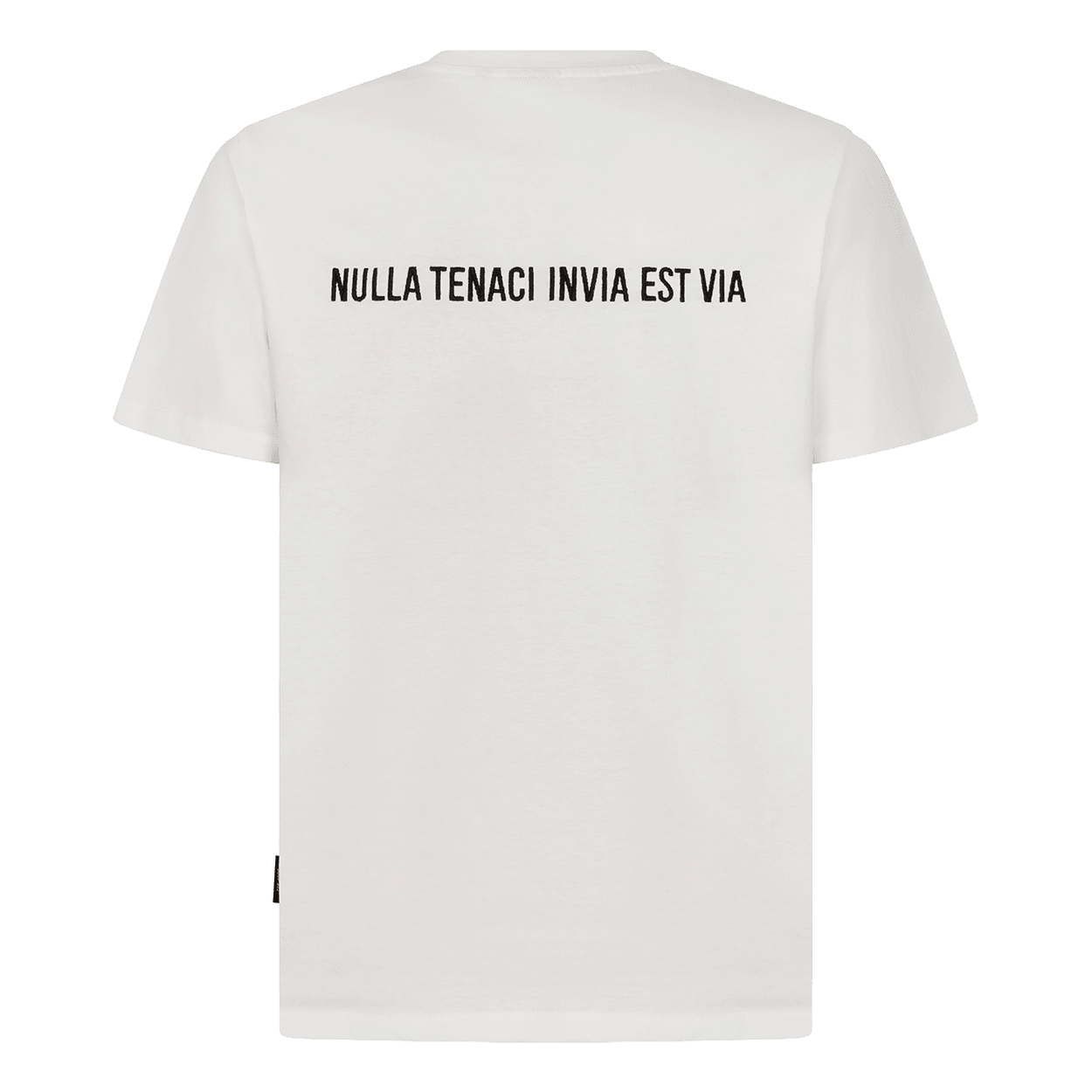 White t-shirt from behind